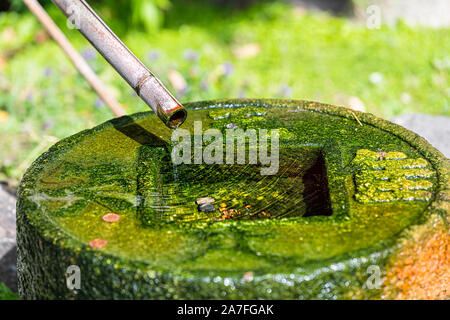 Water flowing from bamboo wooden tube into stone rock basin in Kyoto Japanese garden of Holland park in London, UK with green moss color Stock Photo