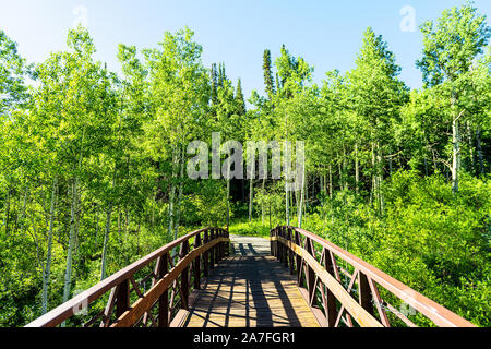 Snowmass village small town in Aspen at Brush Creek trail in Colorado downtown with empty wooden bridge in summer view by tree forest Stock Photo