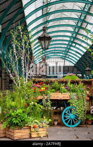 London, UK. 02-05-2019. Covent Garden Market. Flowers and plants on a market wagon display in the square of restored market buildings. Stock Photo