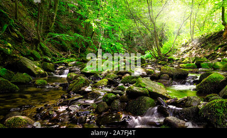 Picturesque mountain stream in a deep spring forest - Magurski National Park in Carpathian Mountain Range. Stock Photo