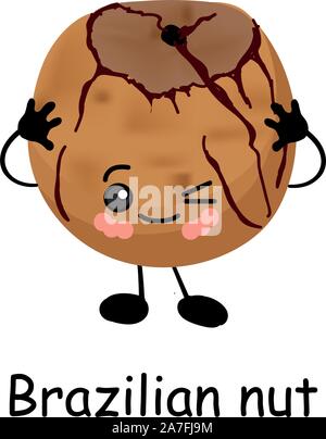 Brazilian nut. Vector illustration. Walnut character isolated on white background.. Stock Vector