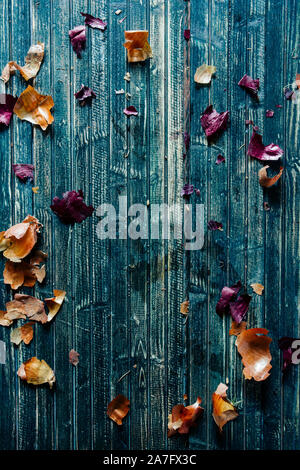 Onion peel vaguely arraged on a rusty background,copyspace Stock Photo