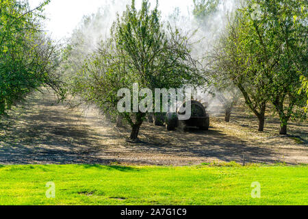 A power take off driven sprayer being used in and Almond orchard after harvest in the Central Valley of California USA Stock Photo