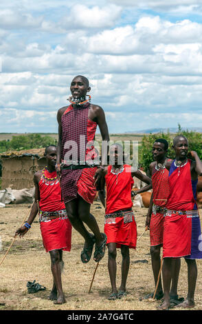 MASAI MARA, KENYA - MAY 2014. Unidentified Masai warriors participate in competitions in traditional high jump as part of the cultural ceremonies and Stock Photo