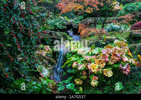 Autumn scene showing all the beautiful; colours as they turn red and orange before falling Stock Photo