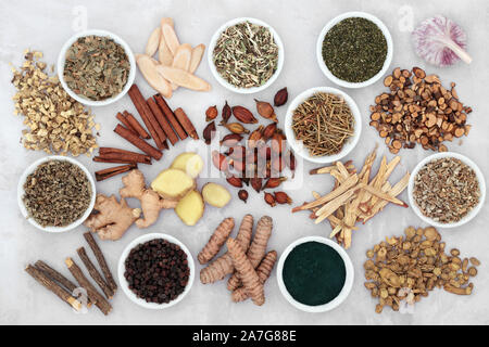 Asthma and respiratory relieving herbs, spice and supplement powder used in natural and chinese herbal medicine, loose and in porcelain bowls.Flat lay Stock Photo