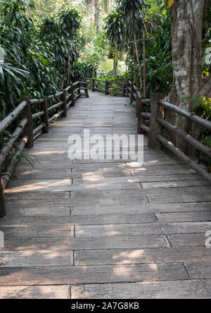 Plank brick path on the walking bridge along the garden with the light in the botanical garden. Stock Photo