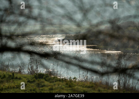 Weser River near Oberweser, Upper Weser Valley,  Weser Uplands, Weserbergland, Hesse, Germany Stock Photo