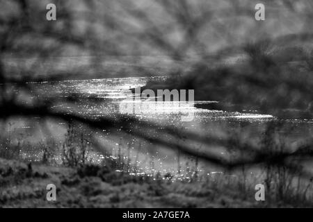 Weser River near Oberweser, Upper Weser Valley,  Weser Uplands, Weserbergland, Hesse, Germany Stock Photo