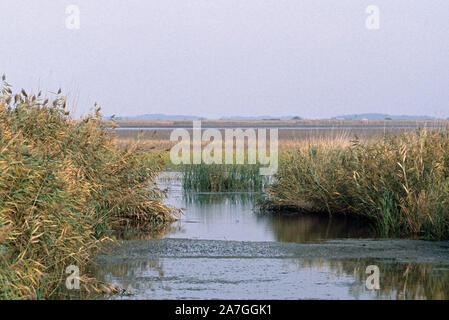 HORTOBAGY NATIONAL PARK Wetlands, dyke between 'halastos' - fish ponds.  Hungary. October. Eastern Europe. Stock Photo