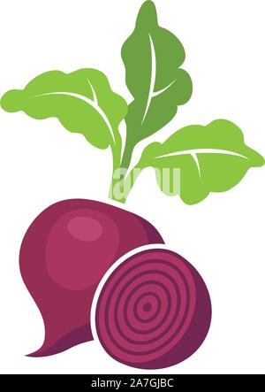 vector whole beet root with leaves and half of beet symbols isolated on white background. icon of beetroot vegetable for healthy vegetarian food illus Stock Vector