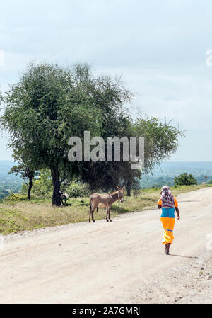 MTO WA MBU, TANZANIA - MAY, 2014: Street of a small village in Tanzania Stock Photo