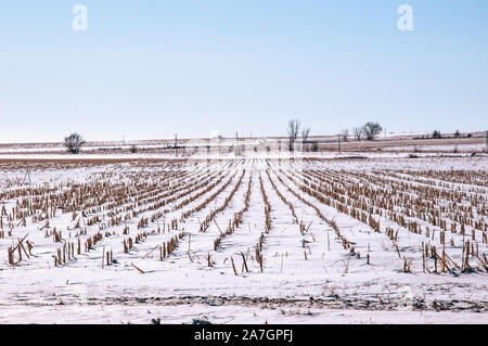 Plowed dirt road in rural southern Colorado, USA Stock Photo