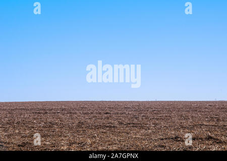 Carnfield filled with stubble waiting for spring planting time Stock Photo