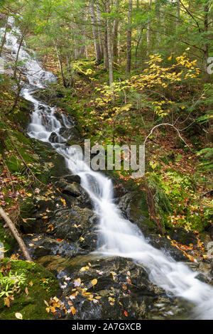 Tributary of Lost River on Mount Jim in Kinsman Notch of Woodstock, New ...