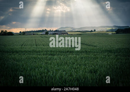 Beams of sunlight coming through evening clouds in Scotland Stock Photo