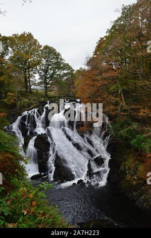 Swallow Falls, Betws-y-Coed, North Wales, Snowdonia, UK - October 2019: Autumnal trees and waterfalls in Welsh mountains. Stock Photo