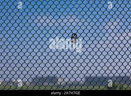 Love Lock on fence abasing blue sky Stock Photo