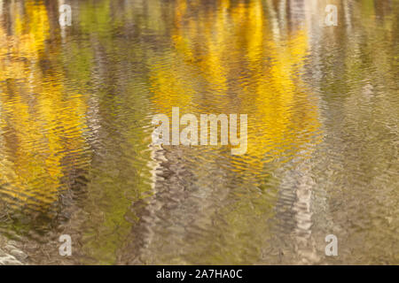 Reflections of the fall foliage on the water surface, June Lake, California, USA Stock Photo