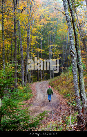 Man walking down winding gravel road in autumn - Nantahala National Forest, Canada, North Carolina, USA Stock Photo