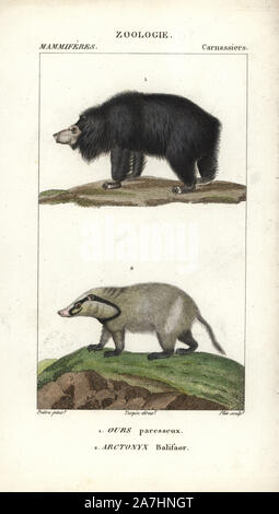 Sloth bear, Ursus ursinus (vulnerable) and hog badger, Arctonyx collaris (near threatened). Handcoloured copperplate stipple engraving from Frederic Cuvier's 'Dictionary of Natural Science: Mammals,' Paris, France, 1816. Illustration by J. G. Pretre, engraved by Plee, directed by Pierre Jean-Francois Turpin, and published by F.G. Levrault. Jean Gabriel Pretre (17801845) was painter of natural history at Empress Josephine's zoo and later became artist to the Museum of Natural History. Turpin (1775-1840) is considered one of the greatest French botanical illustrators of the 19th century. Stock Photo
