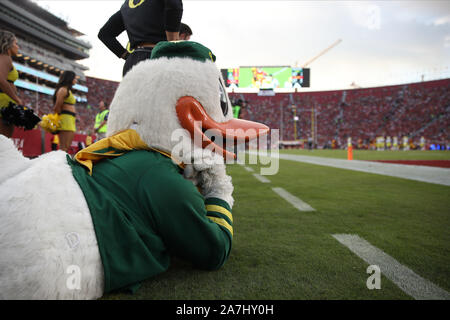 November 2, 2019: The Oregon Ducks mascot watches the game from the sidelines during the game between the Oregon Ducks and the USC Trojans at the Los Angeles Memorial Coliseum, Los Angeles, CA USA (Photo by Peter Joneleit/Cal Sport Media) Stock Photo