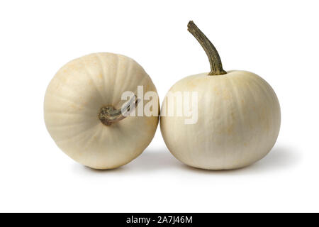 Pair of white Lumina pumpkins isolated on white background Stock Photo
