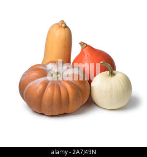 Diversity in shape and taste of fresh pumpkins isolated on white background Stock Photo