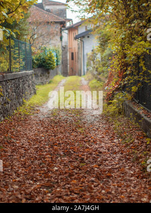 entrance to the village from a narrow path strewn with leaves in autumn Stock Photo