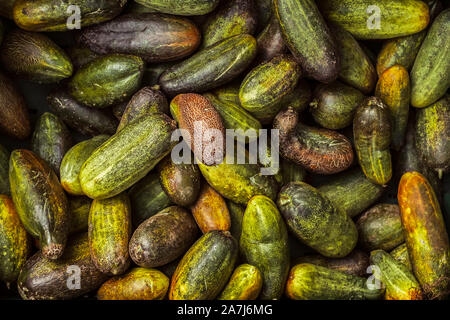 cucumbers on the market stall Stock Photo