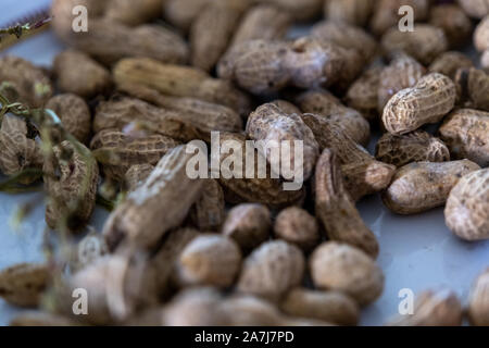 The Close up of boiled peanuts with blurred background and selected focus Stock Photo