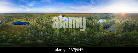 Sunrise in the bog landscape. Misty marsh, lakes nature environment background Stock Photo