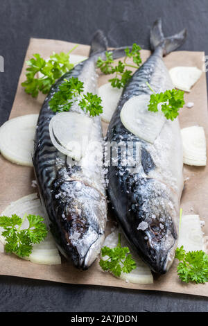 Fresh  Mackerels with onion and parsley on black stone table Stock Photo