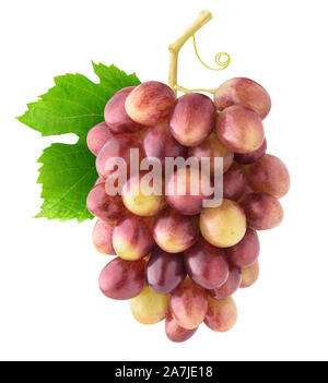 Isolated grapes. Bunch of rose grapes hanging on vine with leaf isolated on white background with clipping path Stock Photo