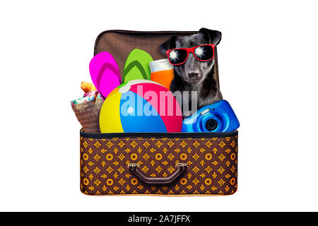 Little dog Packed vintage suitcase full of items for summer holidays travel, vacation, travel and trip isolated on white Stock Photo