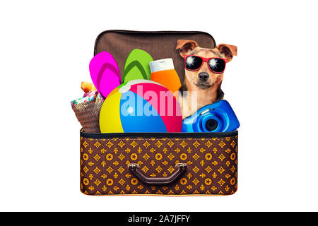 Little dog Packed vintage suitcase full of items for summer holidays travel, vacation, travel and trip isolated on white Stock Photo