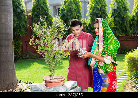 Indian Hindu Traditional married Couple water pouring in-holy Ocimum Tulsi-Plant And Worship in-Courtyard Of-Their house Stock Photo
