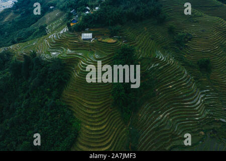 Top aerial birdseye view of harvested green rice terraces and small shacks in Sapa, North Vietnam. Shot in Autumn, October 2019 Stock Photo