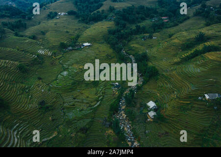 Top aerial birdseye view of harvested green rice terraces and small shacks in Sapa, North Vietnam. Shot in Autumn, October 2019 Stock Photo