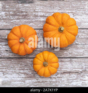 Top Down View of Small Pumpkins Stock Photo