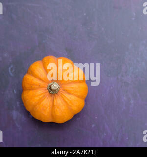 Top Down View of a Small Pumpkin Stock Photo