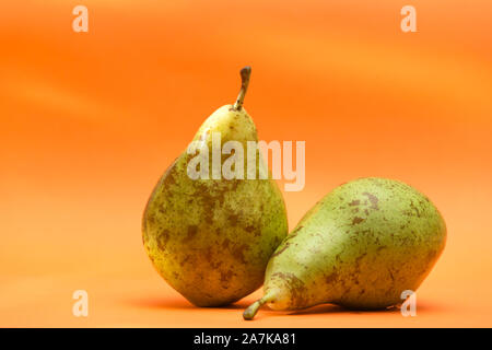 view of two conference pears on an orange background, color contrast Stock Photo