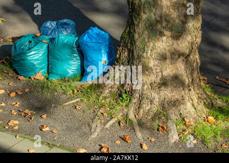 plastic bag with garbage hanging on tree in forest near the river.  pollution ecosystem problem , ecology environment trash Stock Photo - Alamy