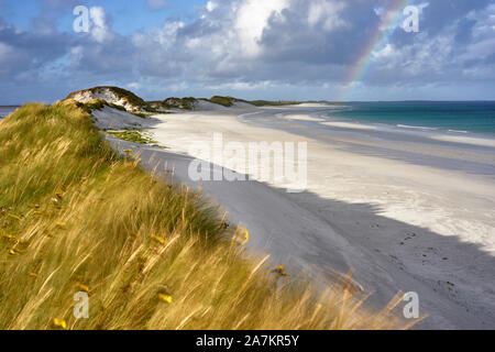 Marram grass and sand dunes, Tres Ness beach beside the Bay of Newark, Sanday, Orkney, Scotland Stock Photo