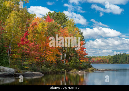 Bright autumn colours of red, orange and yellow tree leaves glow against a brilliant blue sky filled with fluffy clouds, reflected in a near-calm lake Stock Photo