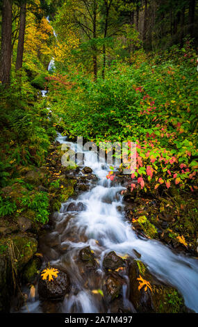 Wahkeena Falls is a 242-foot waterfall in the Columbia River Gorge in the state of Oregon. Stock Photo