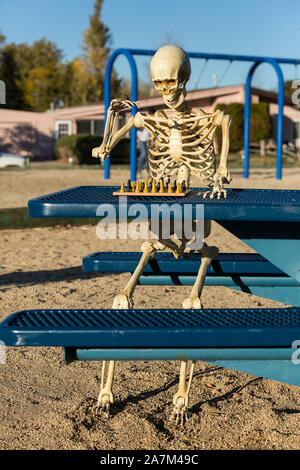 Skeleton makes a move with his king on the chess board Stock Photo