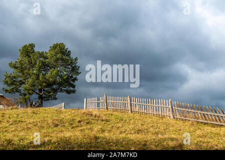 Landscape with lonely tree and dark stormy sky Stock Photo - Alamy