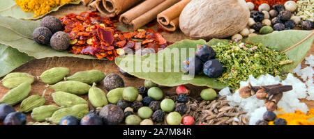 Different spices as background banner Stock Photo