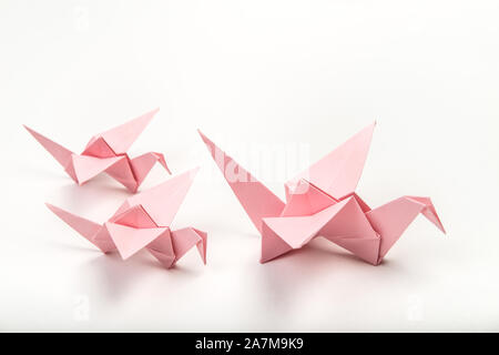 Origami birds family on white background. Japanese folded paper swan Stock Photo